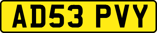 AD53PVY