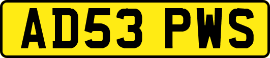AD53PWS