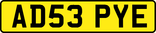 AD53PYE