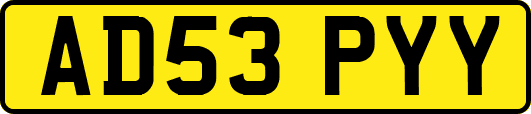 AD53PYY