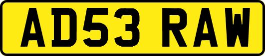 AD53RAW