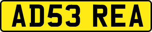 AD53REA