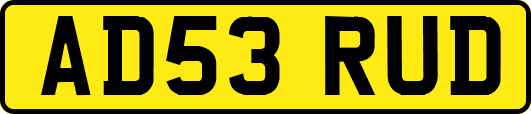 AD53RUD