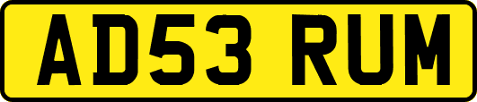 AD53RUM