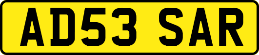 AD53SAR