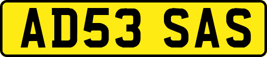 AD53SAS