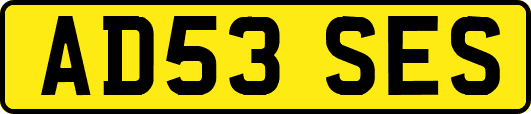 AD53SES