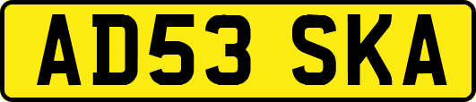 AD53SKA