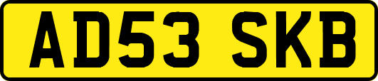 AD53SKB