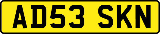 AD53SKN