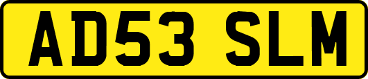 AD53SLM