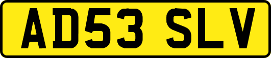 AD53SLV