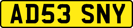 AD53SNY