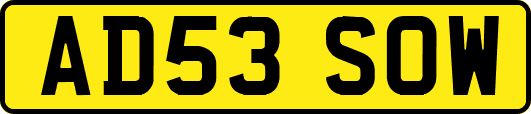 AD53SOW