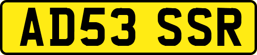 AD53SSR