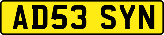 AD53SYN