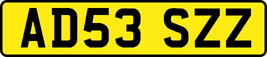 AD53SZZ