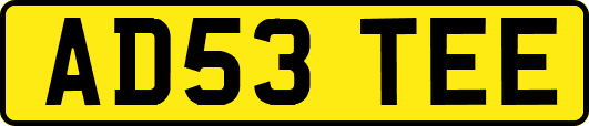 AD53TEE