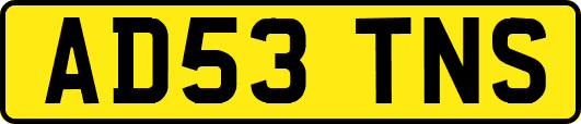 AD53TNS