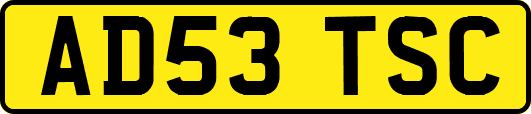 AD53TSC