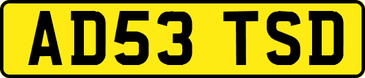 AD53TSD