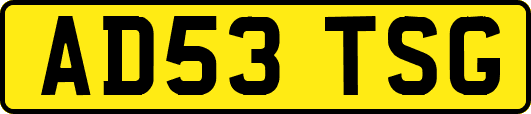 AD53TSG