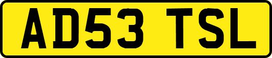 AD53TSL