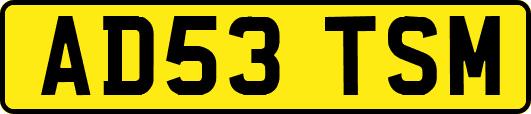 AD53TSM