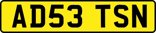 AD53TSN