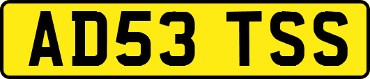 AD53TSS