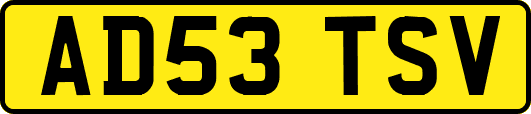 AD53TSV