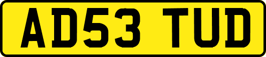 AD53TUD