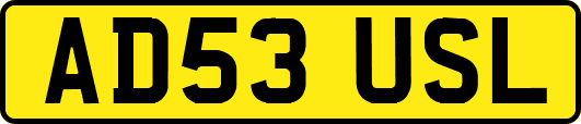 AD53USL