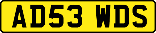 AD53WDS