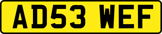 AD53WEF
