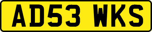 AD53WKS