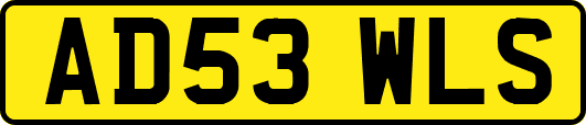 AD53WLS