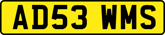 AD53WMS