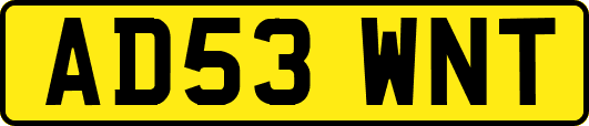 AD53WNT