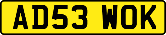 AD53WOK