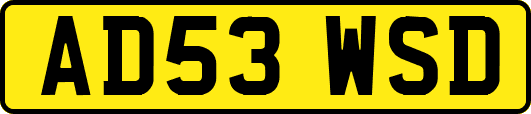 AD53WSD