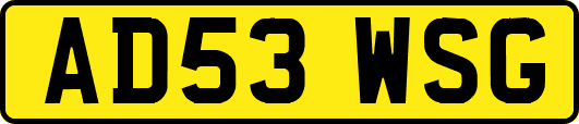 AD53WSG