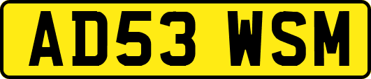 AD53WSM