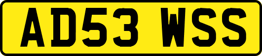 AD53WSS