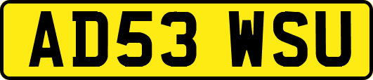 AD53WSU