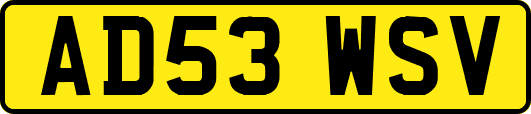 AD53WSV