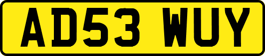 AD53WUY