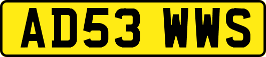 AD53WWS