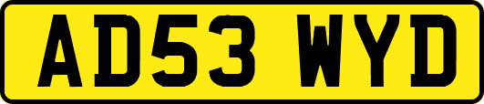 AD53WYD