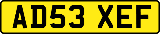 AD53XEF
